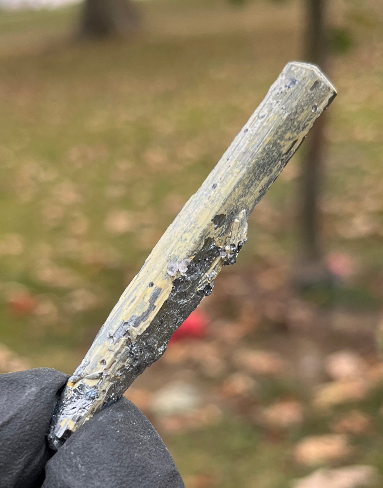 Stibnite With Fluorite Blade | Uv Reactive Crystal Specimen | Fluorescent Mineral
