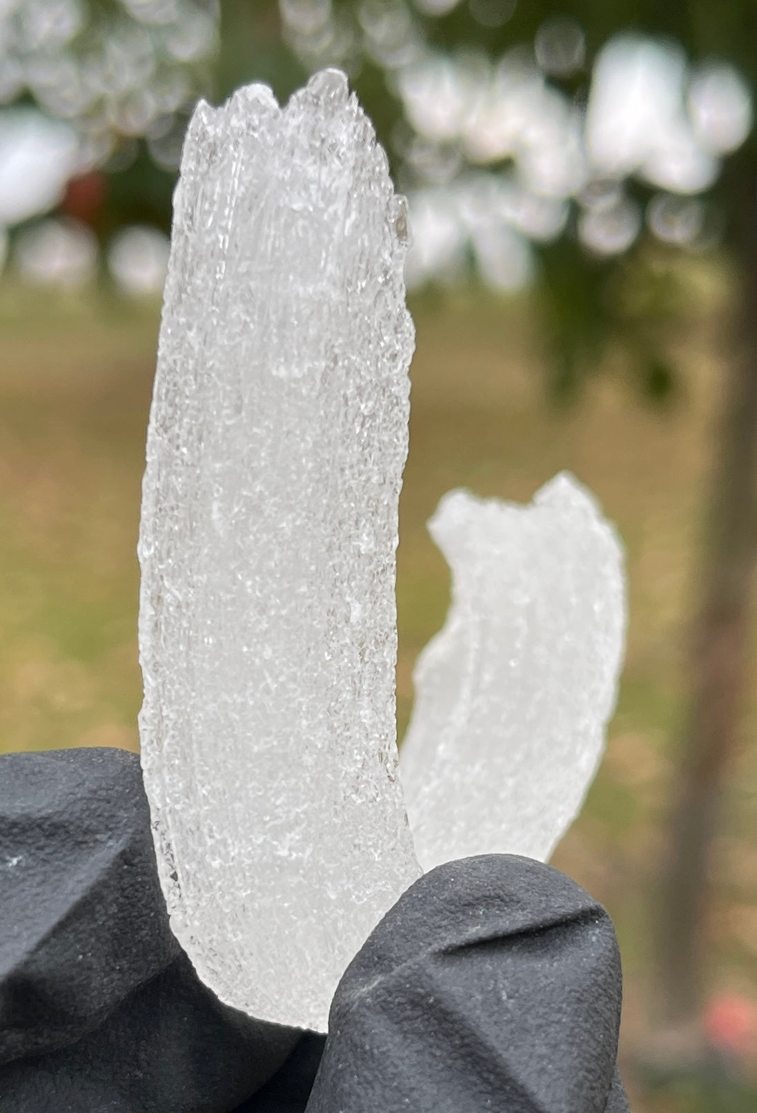 Ram's Horn Selenite Crystal | Curved White Selenite Specimen for Energy Cleansing & Charging | High-Vibration Home Decor