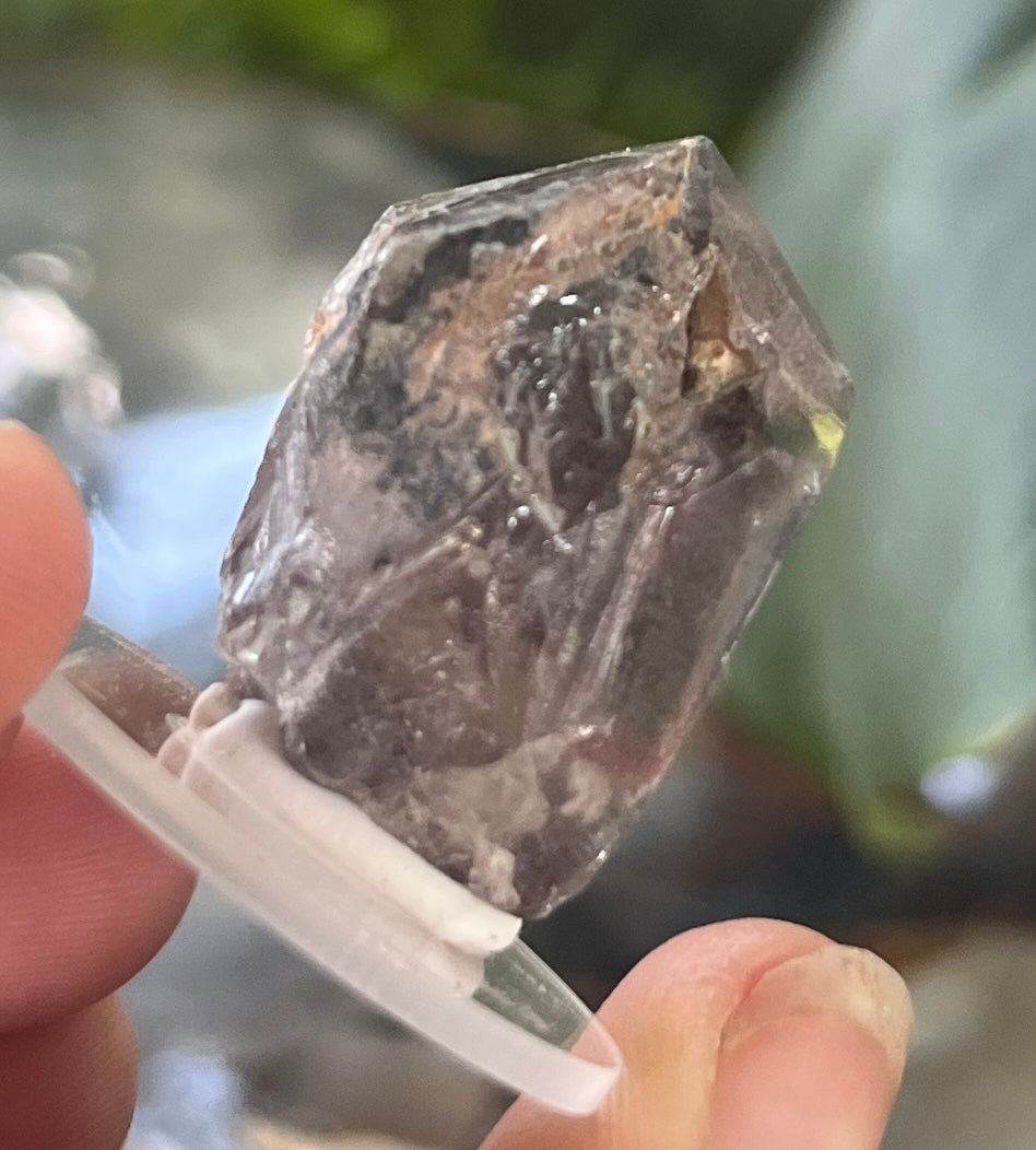 Clear Garden Quartz Speciem | Lodolite Quartz Point