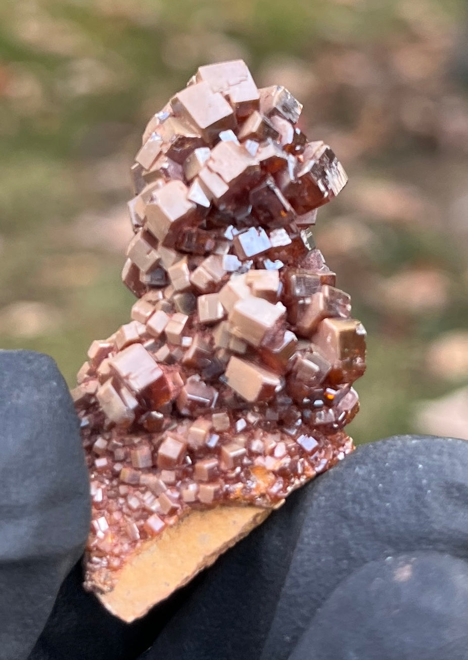 Exceptional Vanadinite Crystal Cluster | Deep Red-Orange Hexagonal Vanadinite on Matrix | Morocco Mineral Specimen | Collector Grade Healing Crystal