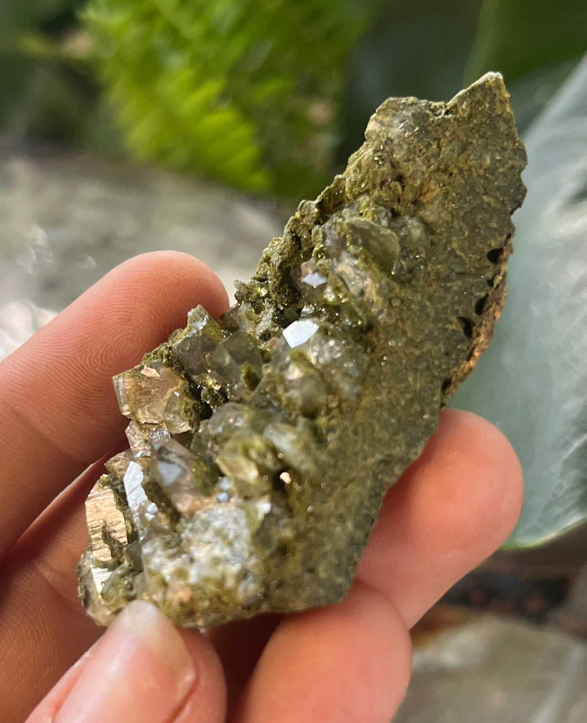 Rare Forest Epidote with Druzy Quartz – Sparkling Green Growth Crystal