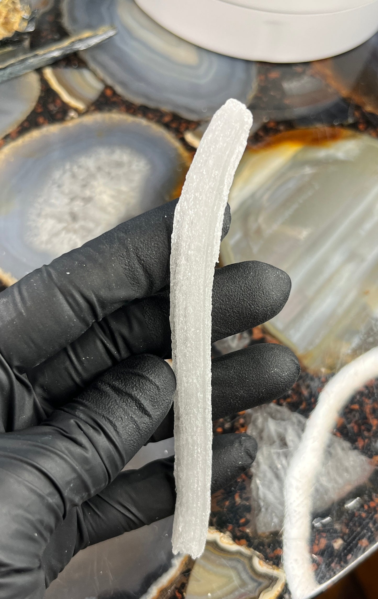 Ram's Horn Selenite Crystal | UV Reactive Mineral | Selenite Specimen for Energy Cleansing & Charging | Ulta Violet Crystal