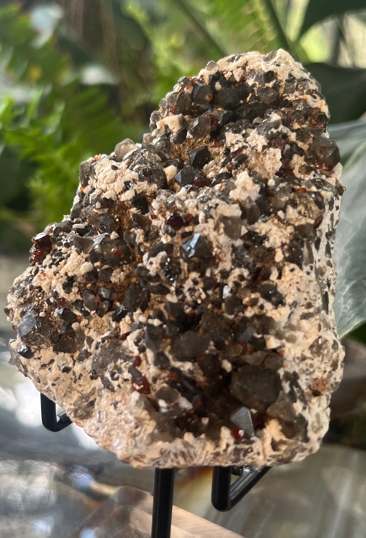 Rare Red Garnet with Smoky Quartz Cluster on Feldspar Matrix | Collector Mineral