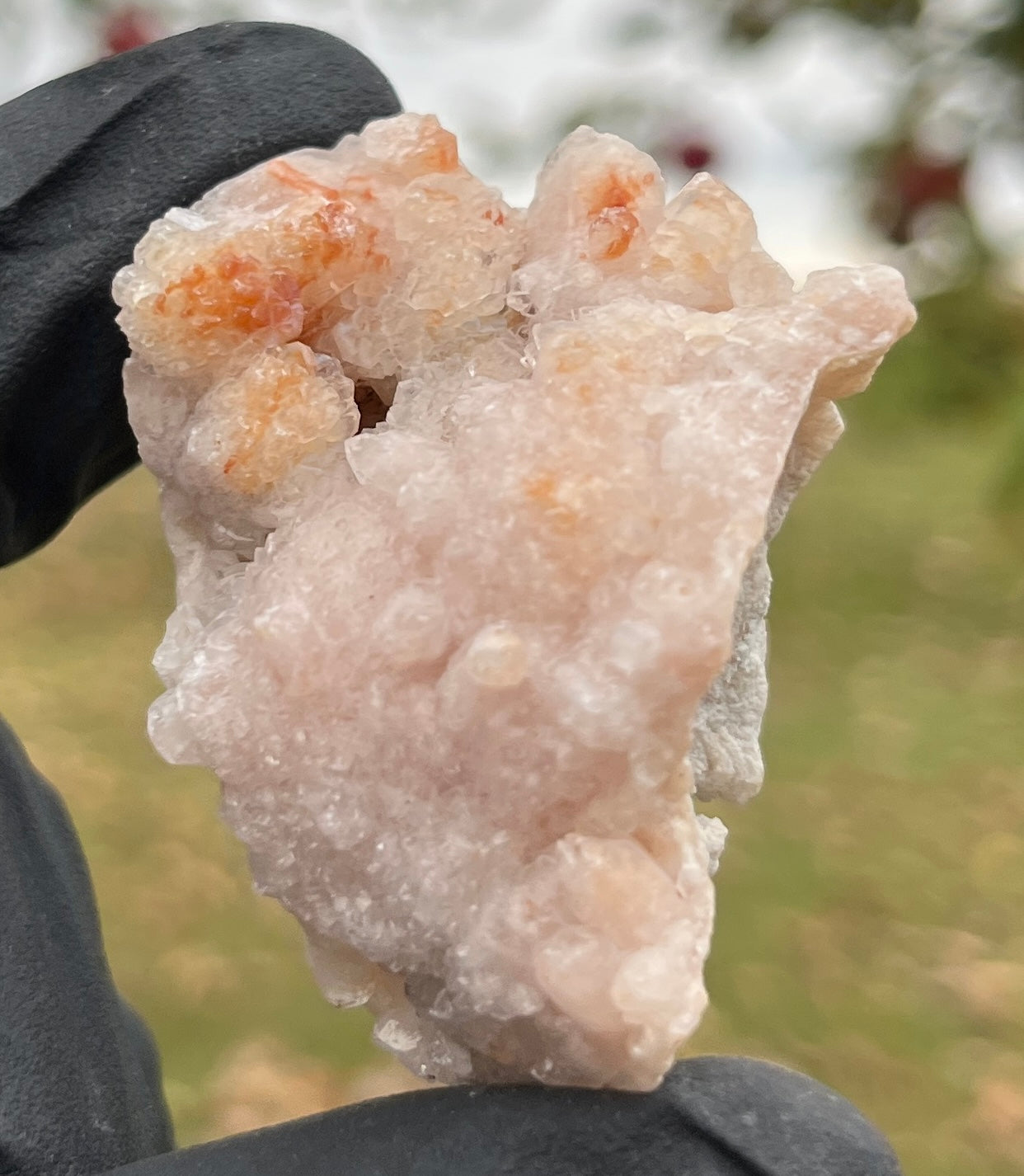 Rare Pink Amethyst Cluster | Botryoidal Raw Pink Amethyst Geode Specimen | High Grade Crystal Healing Home Decor Gift