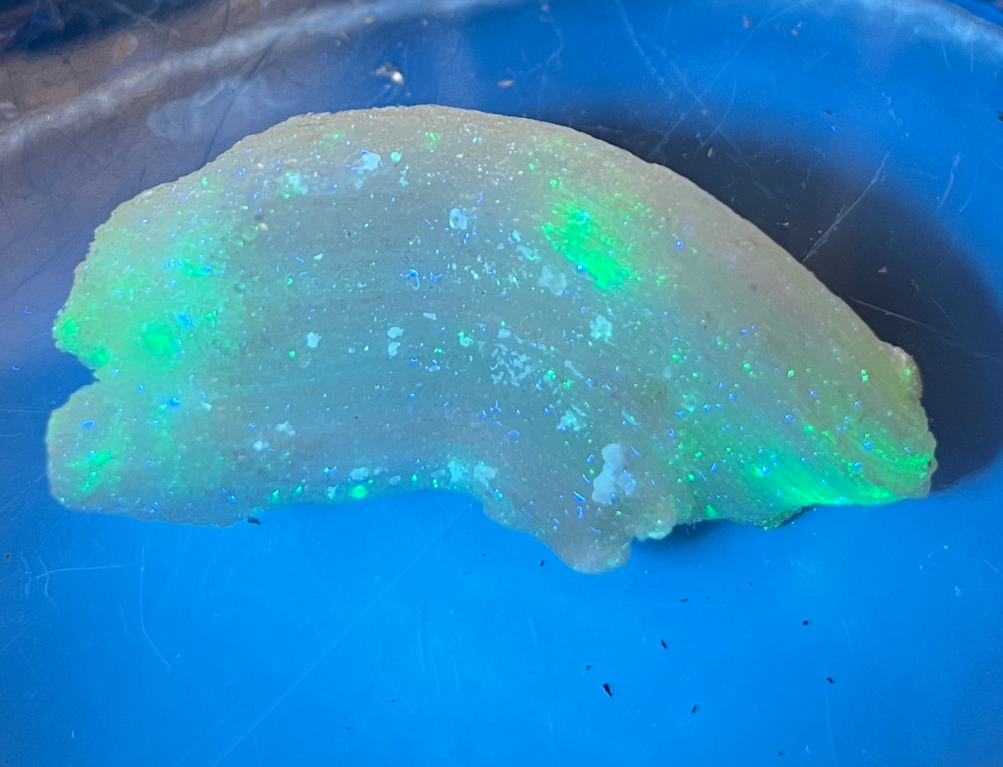 Ram's Horn Selenite Crystal | UV Reactive Mineral | Selenite Specimen for Energy Cleansing & Charging | Ulta Violet Crystal