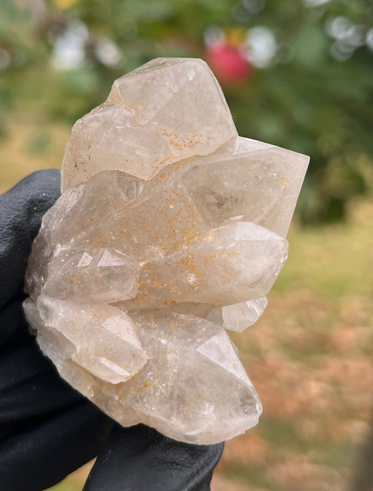 Blue Fluorite on Quartz Crystal Specimen | Raw Mineral Cluster | Collector Stone | Healing Crystal Home Decor