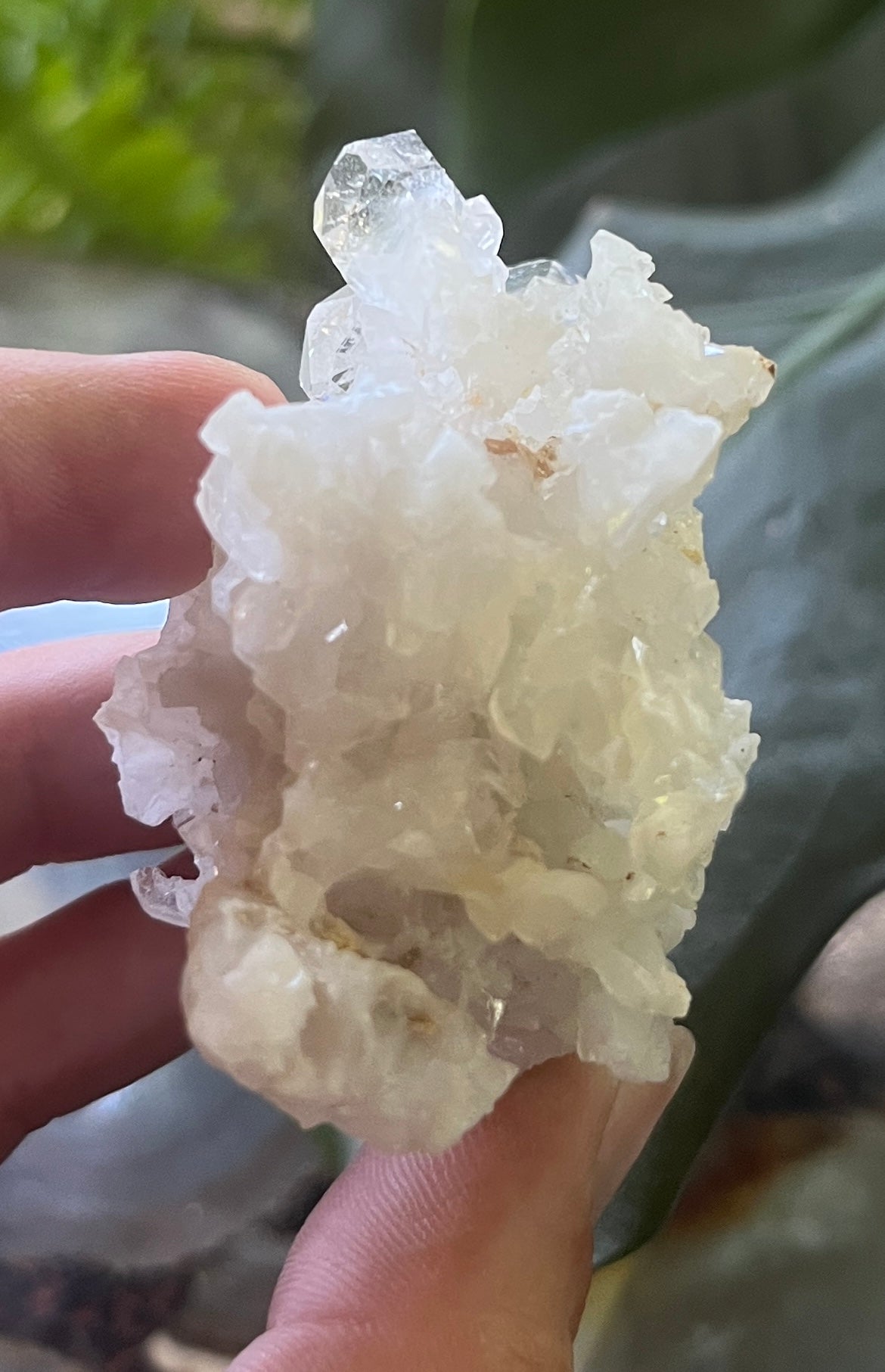 Raw Clear Quartz Cluster Specimen - Unique Natural Quartz Crystal with Sharp