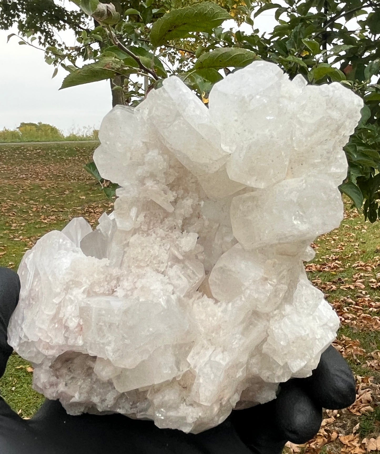 Natural Apophyllite Stilbite Crystal Cluster – High Vibration Druzy Specimen for Healing, Clarity & Spiritual Growth