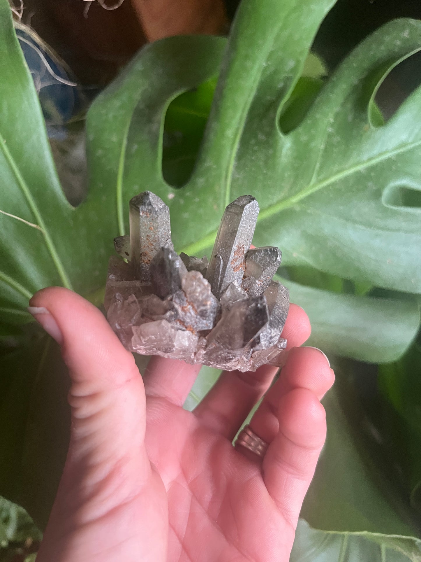 Natural Smoky Quartz Cluster | Dark Crystal Point Specimen | Healing Crystal for Grounding & Protection | Rare Home Decor Gift