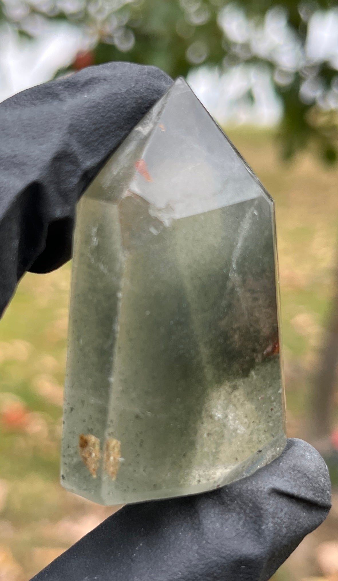Clear Garden Quartz Tower | Lodolite Quartz Point | Natural Earth Inclusion Crystal | Chlorite & Hematite Mineral Specimen