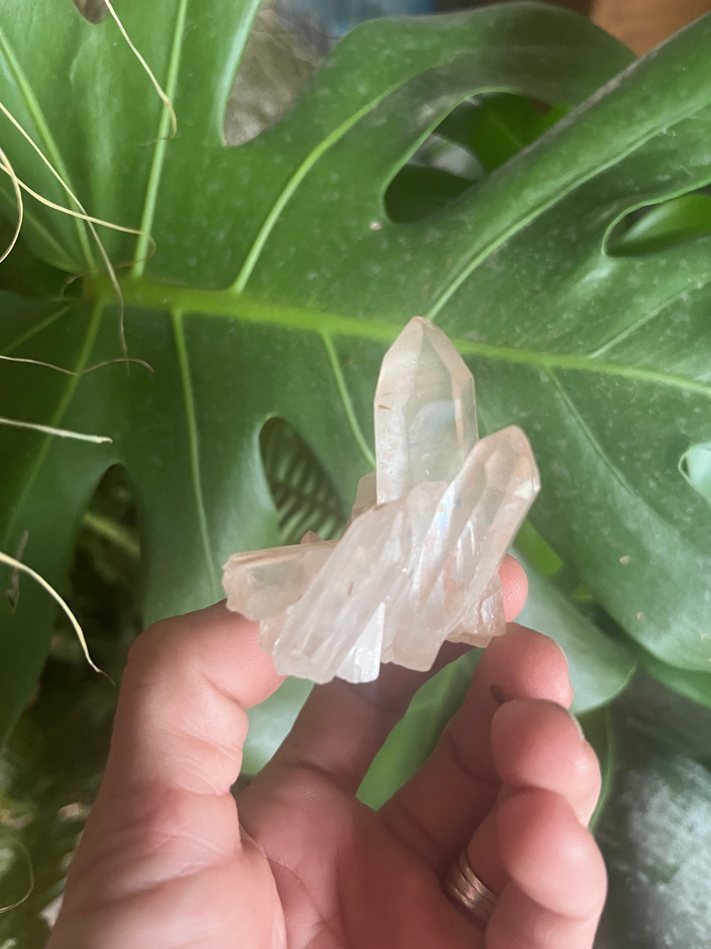 Exceptional Lumarian Quartz Cluster: High-Vibration Energy Amplifier