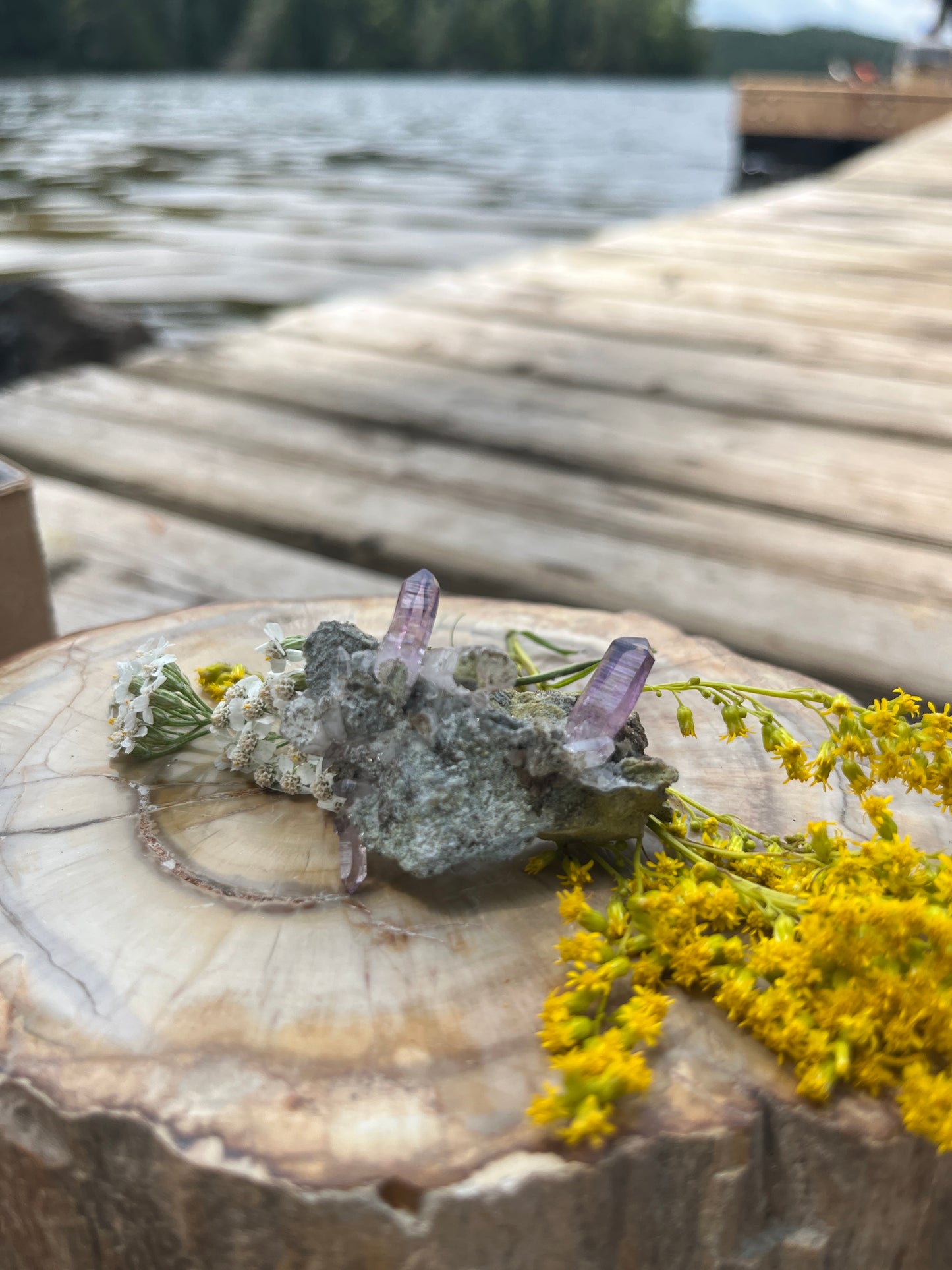 Natural Vera Cruz Amethyst Specimen Cluster | Rare Purple Quartz Crystals on