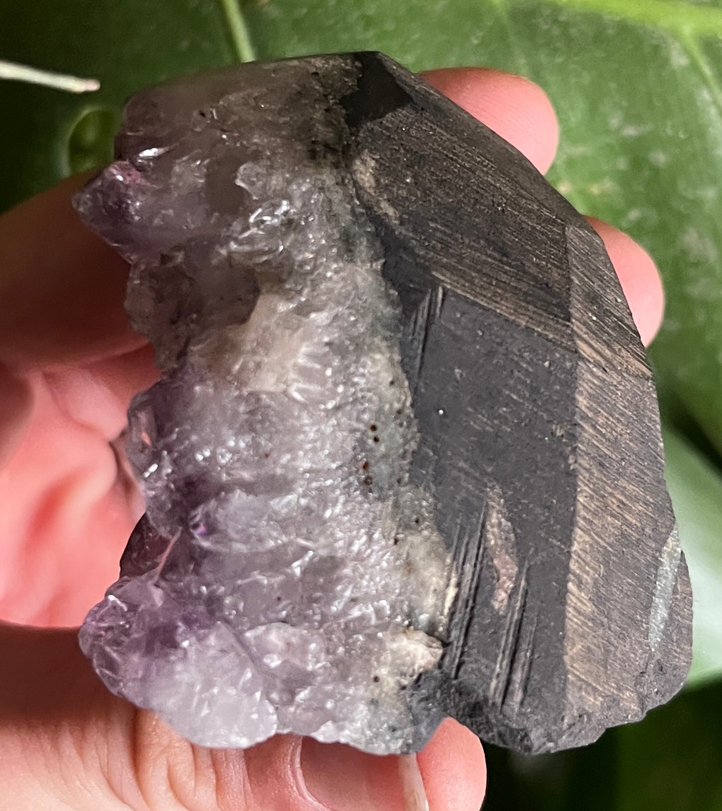 Stunning Deep Purple Amethyst Free Form Cluster | High Quality Brazilian Amethyst