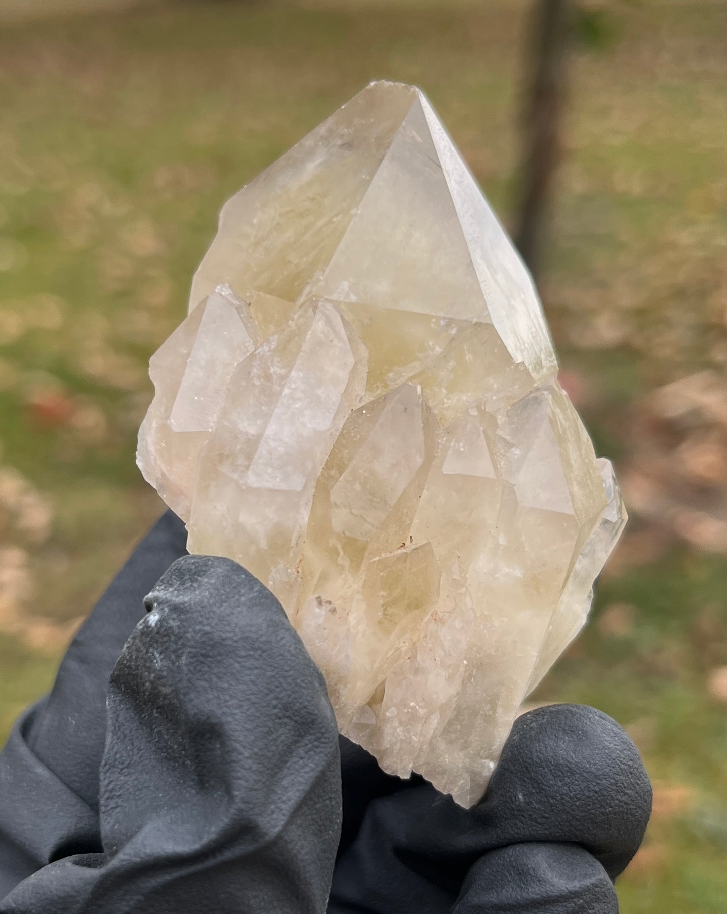 Natural Citrine Crystal – Manifestation, Prosperity & Joy Stone | Raw Crystal | Healing Energy Crystal