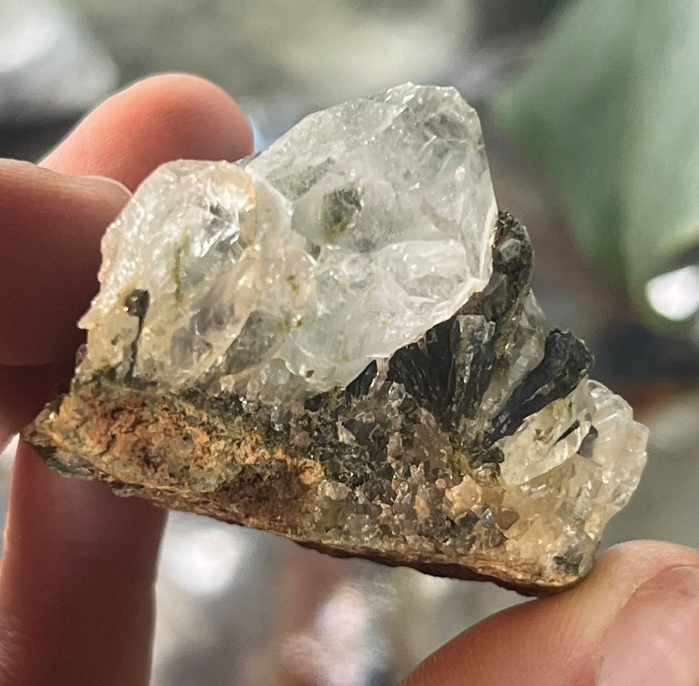Forest Epidote with Quartz – Sparkling Green Growth Crystal
