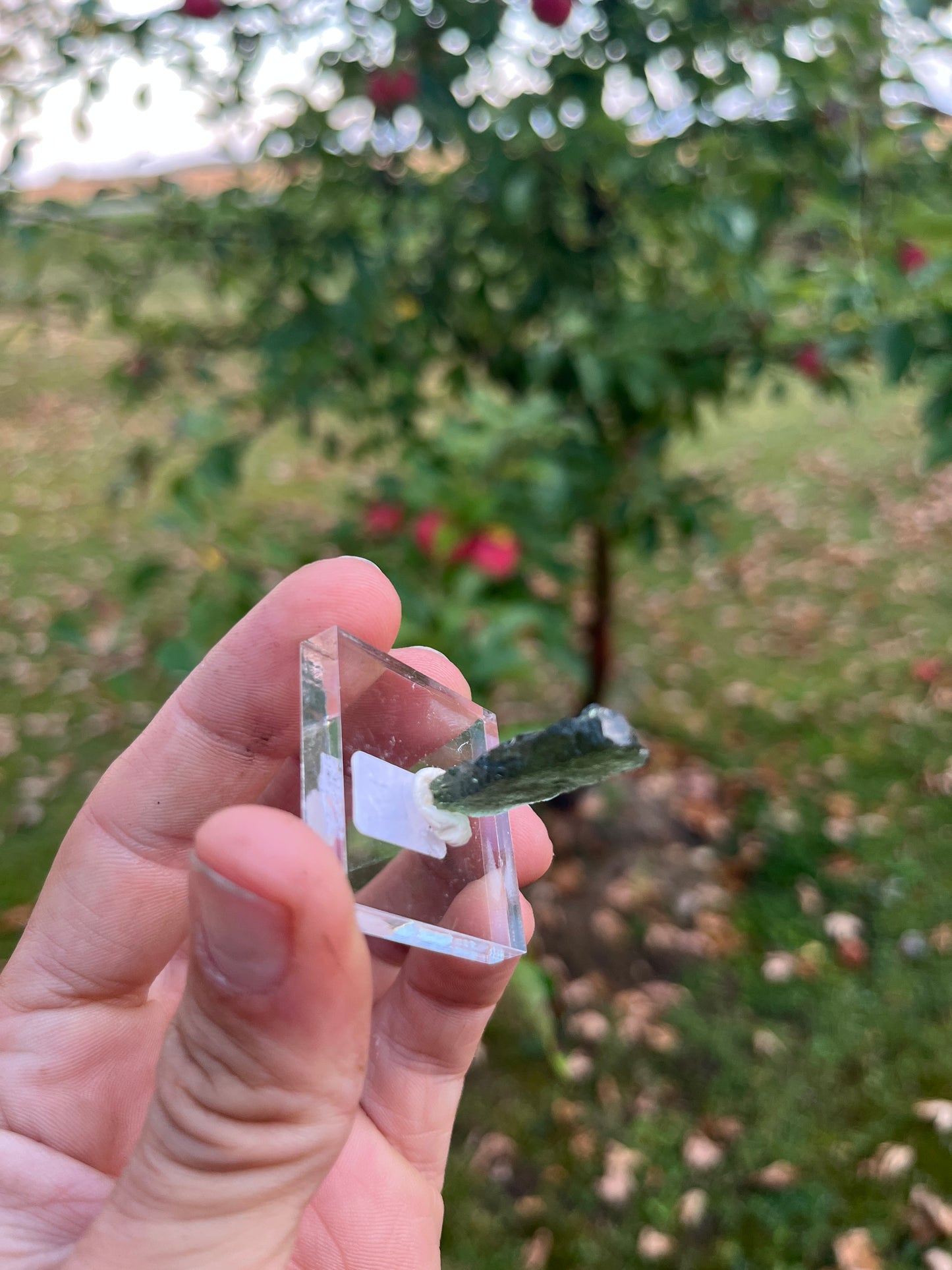 Genuine Raw Moldavite | Authentic Czech Republic Tektite | High Vibration Moldavite Crystal | Transformation Stone | Rare Metaphysite | Unique Gift