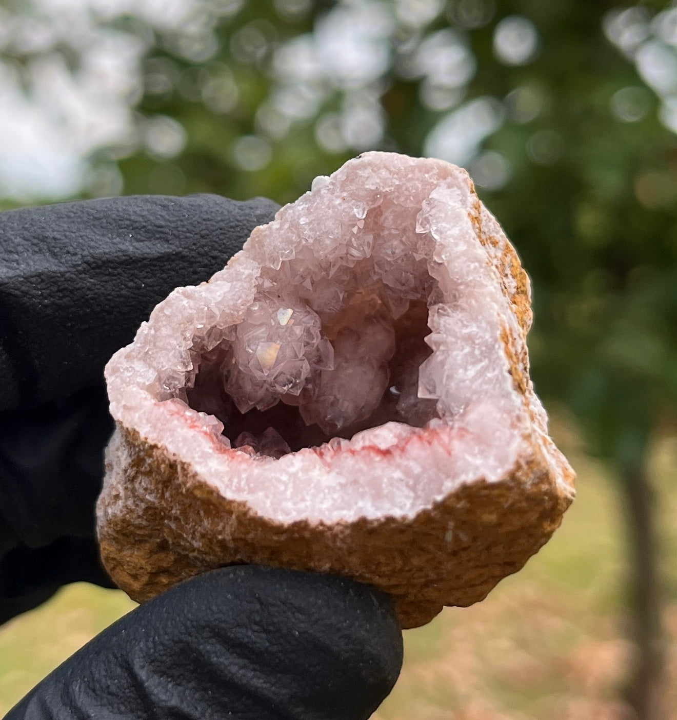 Pink Amethyst Geode | Raw Natural Crystal Cluster | Heart Chakra Healing Stone