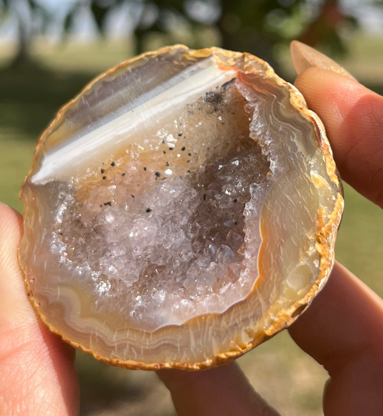 Agate Geode (half)