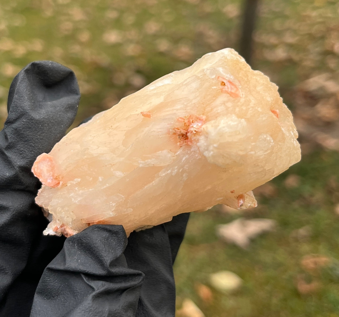 Peach Stilbite Cluster from India | Natural Salmon Stilbite Blade Formation | Emotional Healing Crystal | Zeolite Mineral Specimen