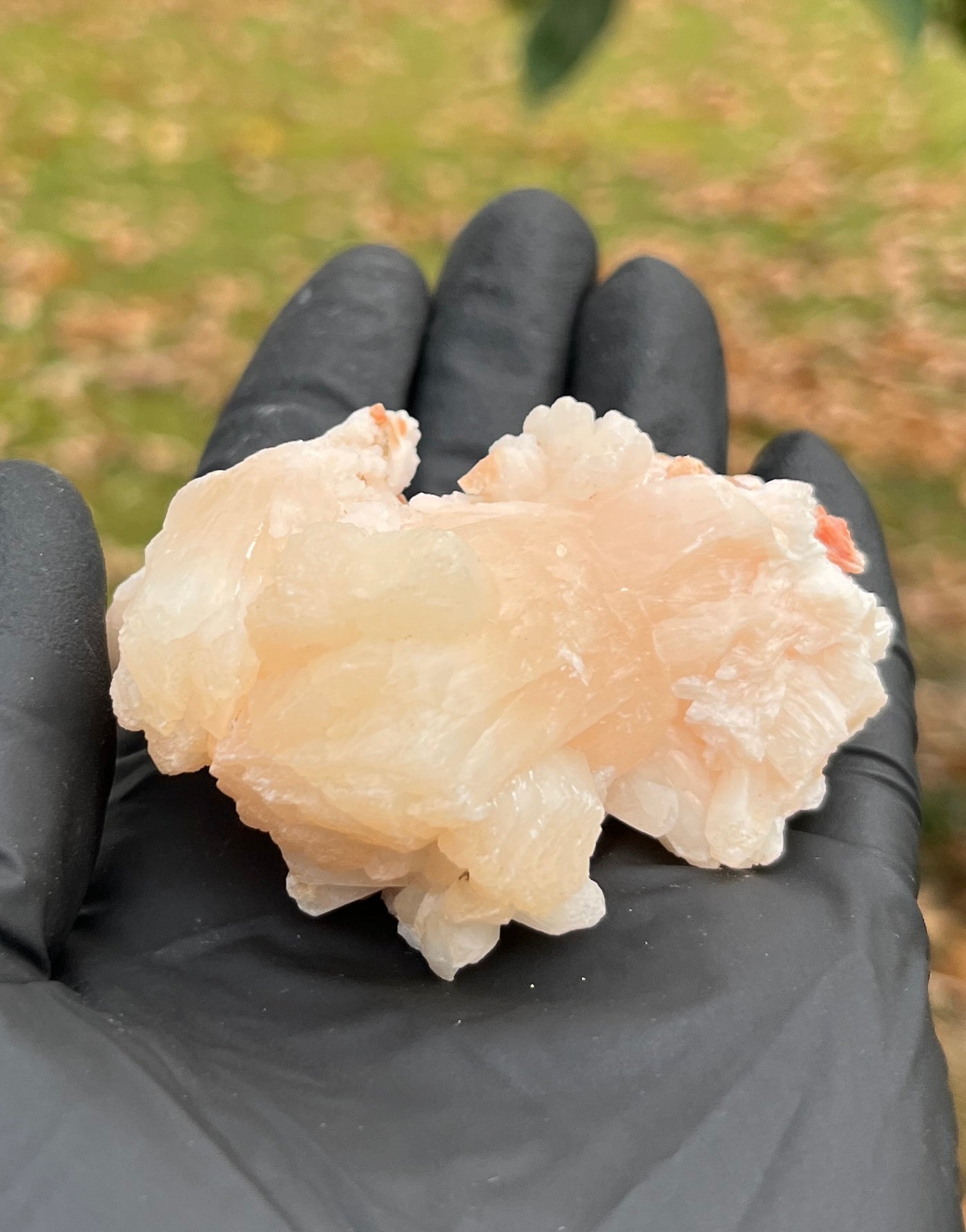 Peach Stilbite Crystal Cluster from India | Zeolite Mineral Specimen for Emotional Healing & Peaceful Sleep