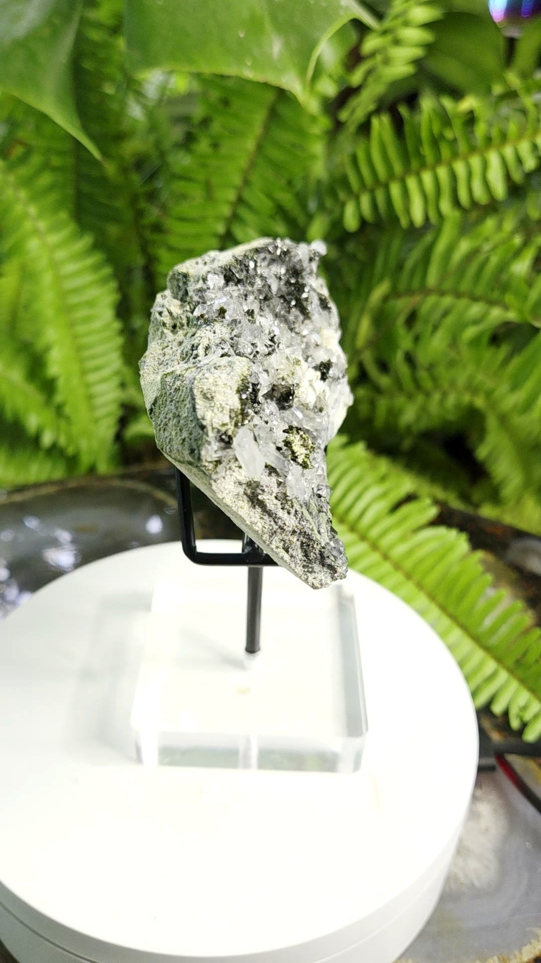 Black Epidote with Crystal Clear Quartz Cluster | Mineral Specimen