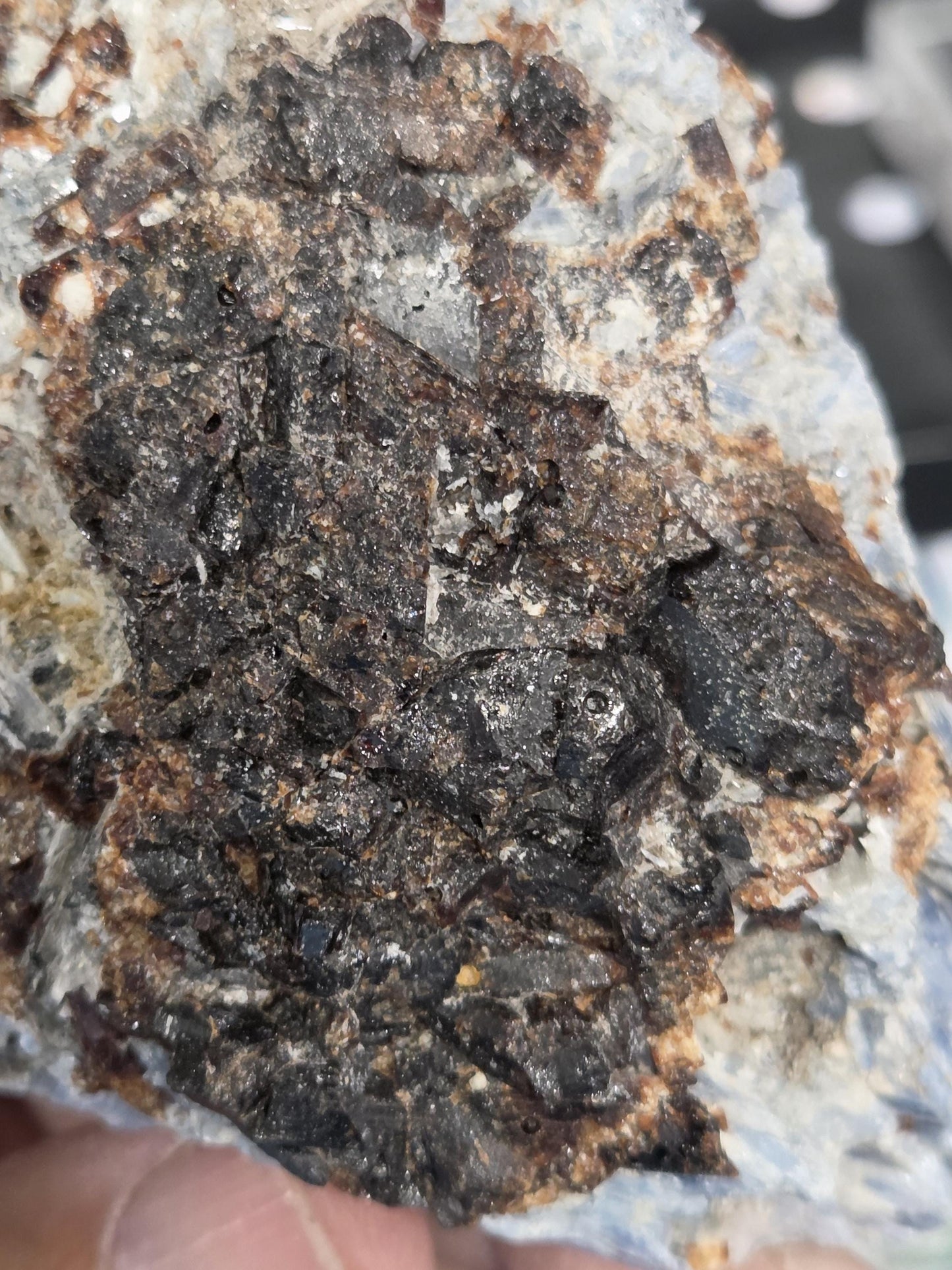 Rare Blue Kyanite with Garnet and Mica and Quartz Cluster