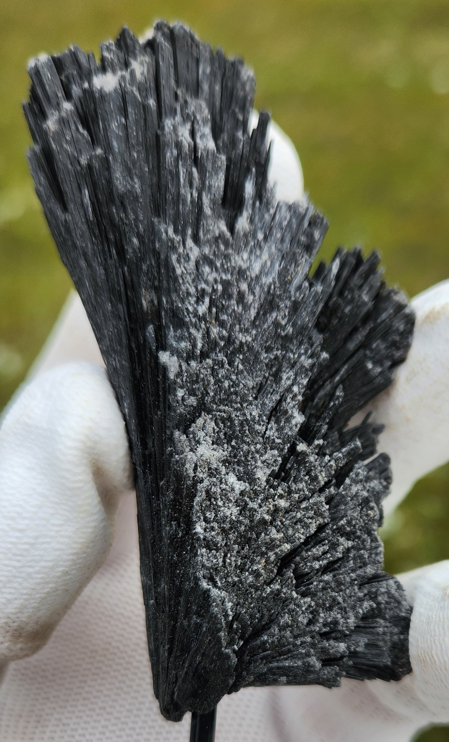 Black Kyanite Fan Crystal Cluster on Metal Stand – Natural Bladed Specimen for Protection, Cleansing & Home Décor