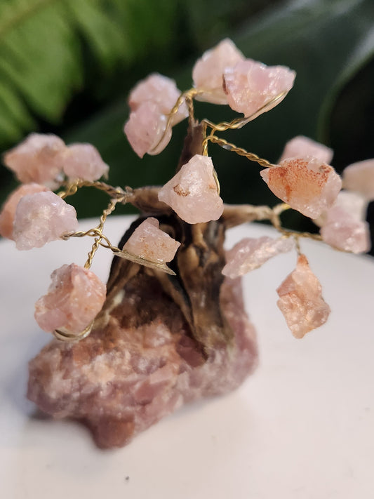 Handmade Rose Quartz Crystal Tree on Rose Quartz Base
