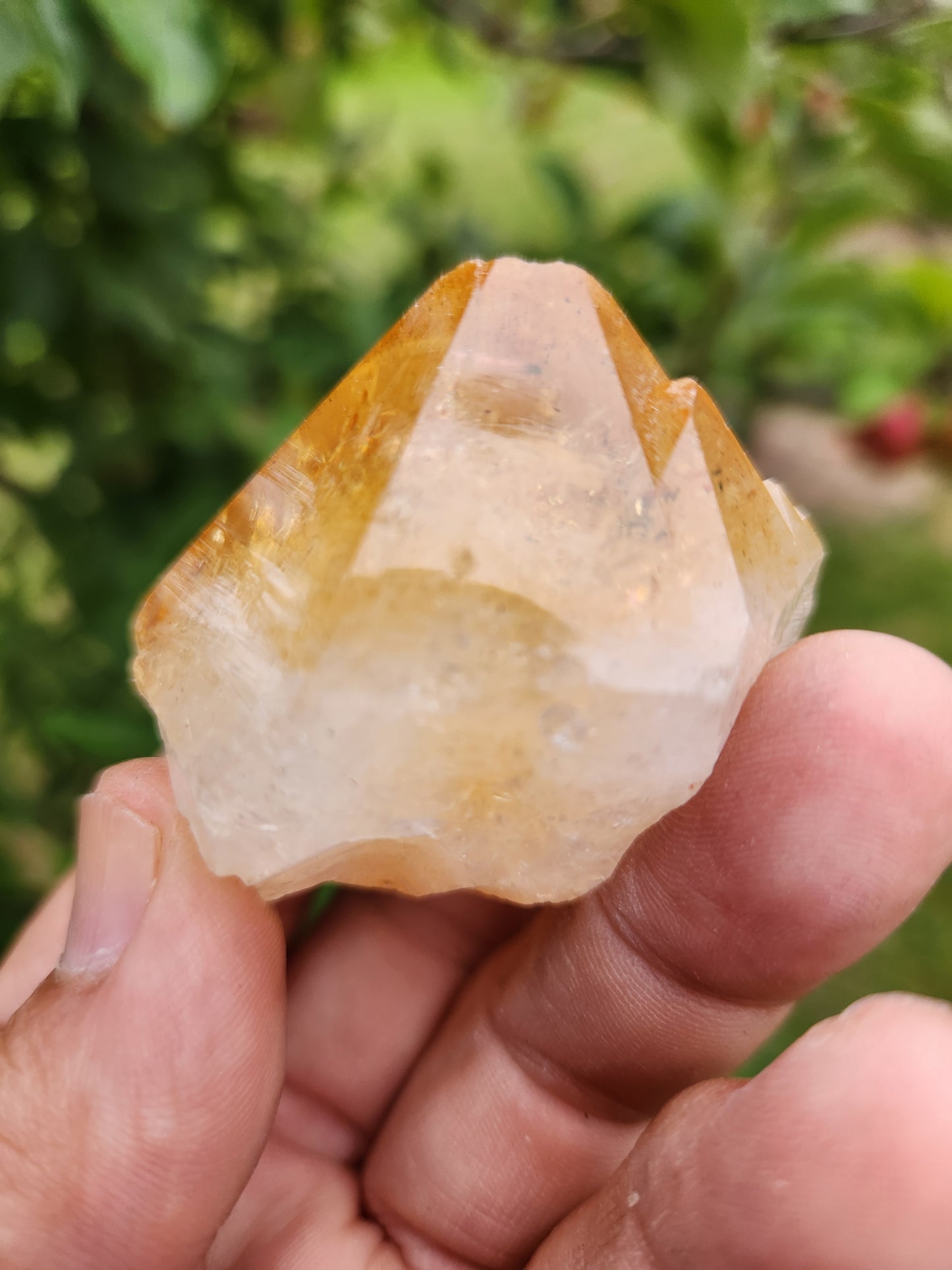 Citrine Crystal (heat treated) - Intense Fierry and Buzzy Manifestation and Abundance.
