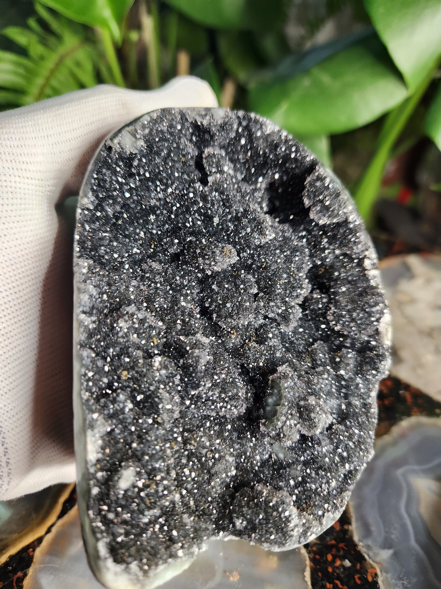 Large Druzy Black Amethyst Standing Freeform • Natural Dark Amethyst Cluster from Brazil • Sparkling Druzy Display Piece • Protection & Cleansing Crystal