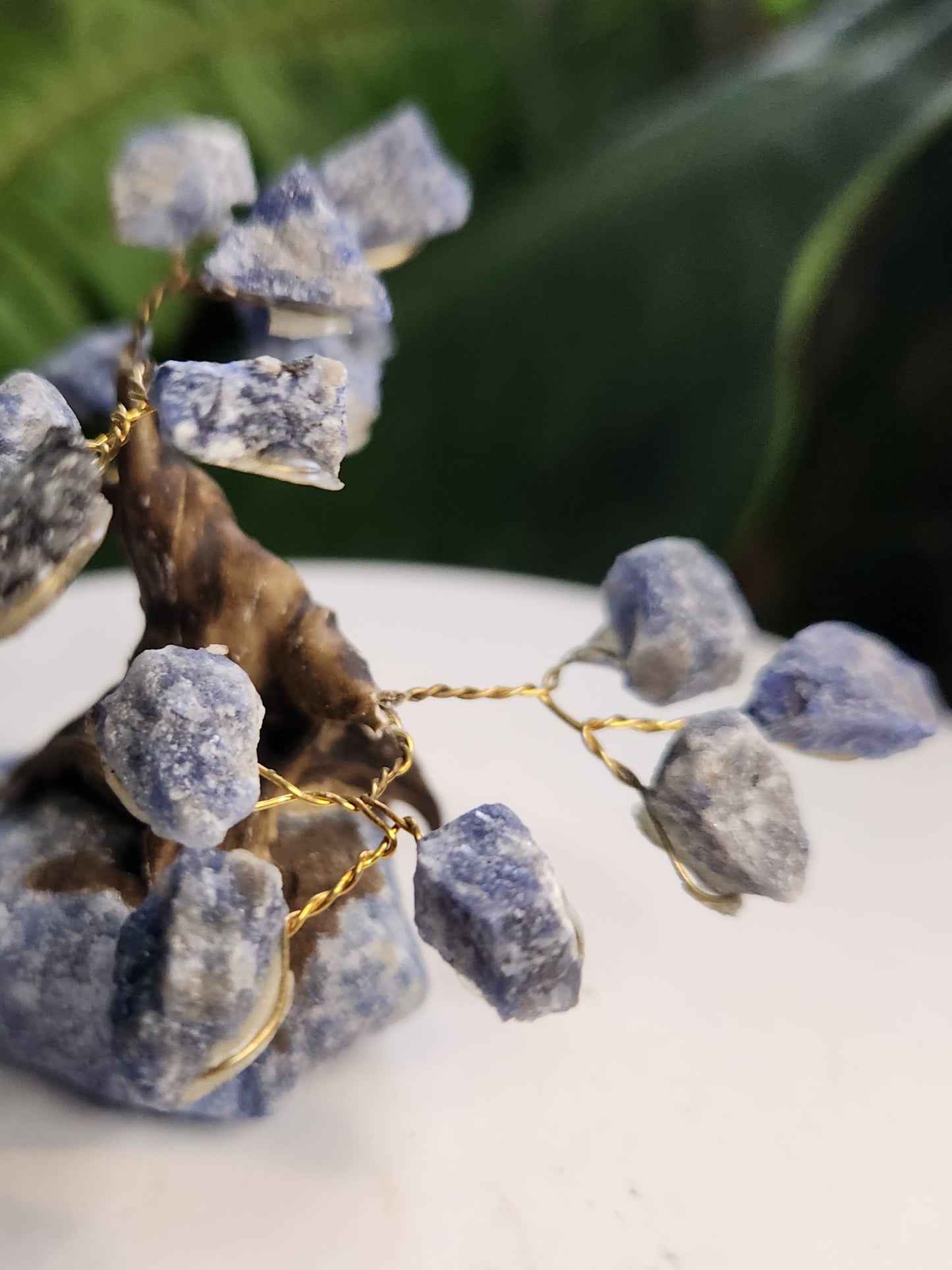 Handmade Sodalite Crystal Tree on Sodalite Base | Natural Blue Gemstone Tree | Clarity & Communication Crystal Decor