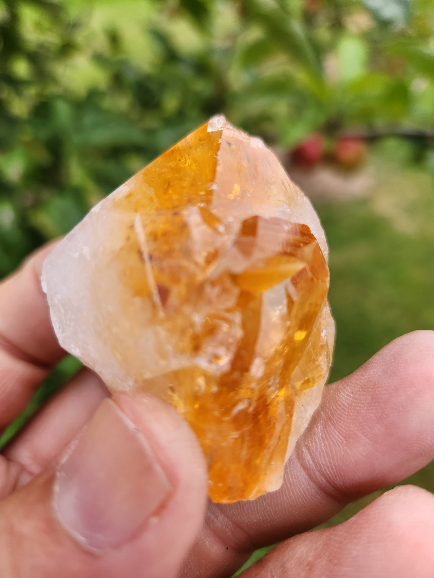 Citrine Crystal (heat treated) - Intense Fierry and Buzzy Manifestation and Abundance.