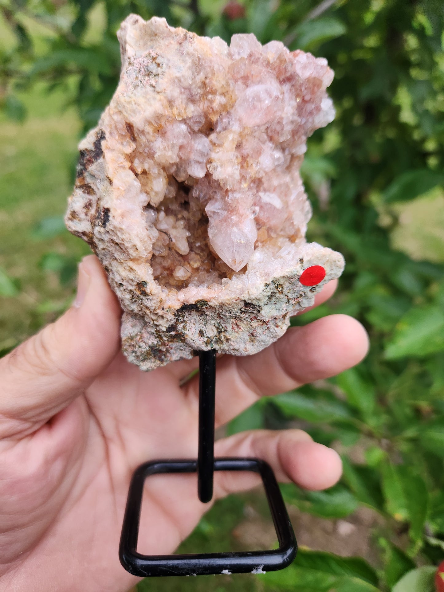 Pink Amethyst Crystal Geode on Stand - Gentle, Heart-Centered Energy - Emotional Healing and Spiritual Growth.