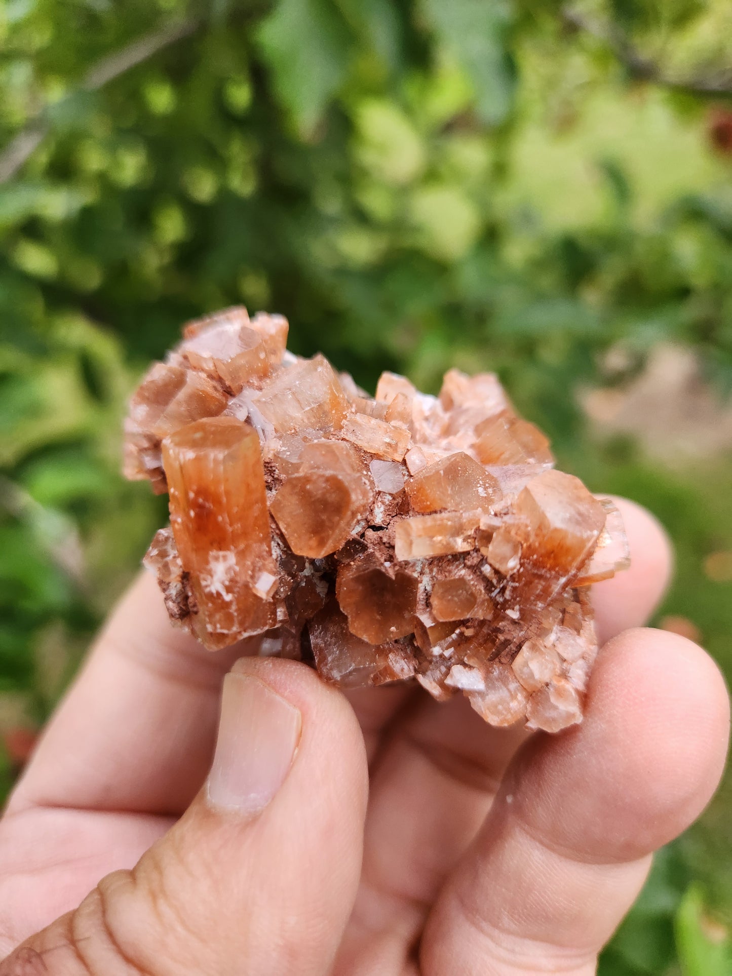Brown Aragonite Crystal Cluster - Highly Valued for its Strong Connection to the Earth.