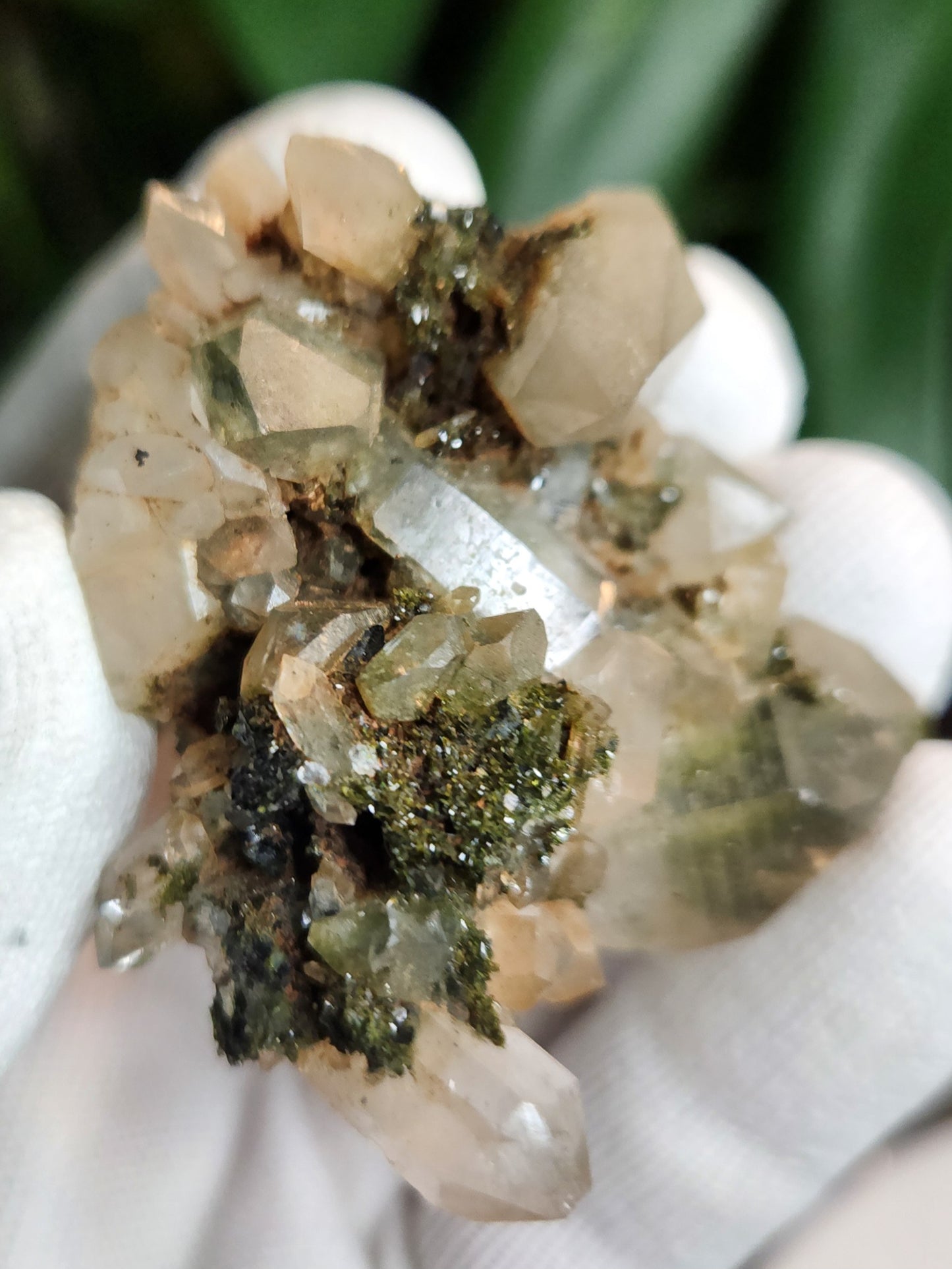 Forest Epidote with Druzy Quartz – Sparkling Green Growth Crystal | Collector Mineral | Grounding & Abundance Stone