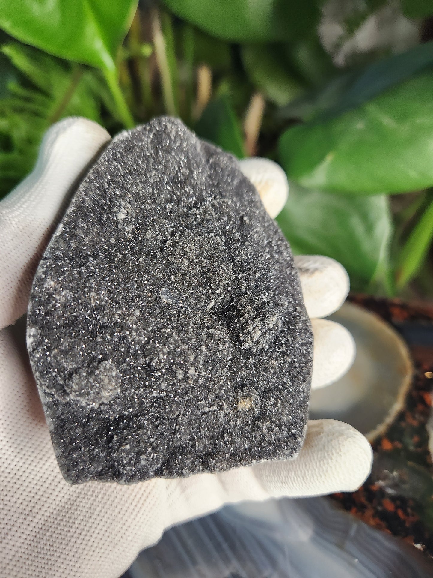 Druzy Black Amethyst Standing Freeform • Natural Dark Amethyst Cluster from Brazil • Sparkling Druzy Display Piece • Protection & Cleansing Crystal