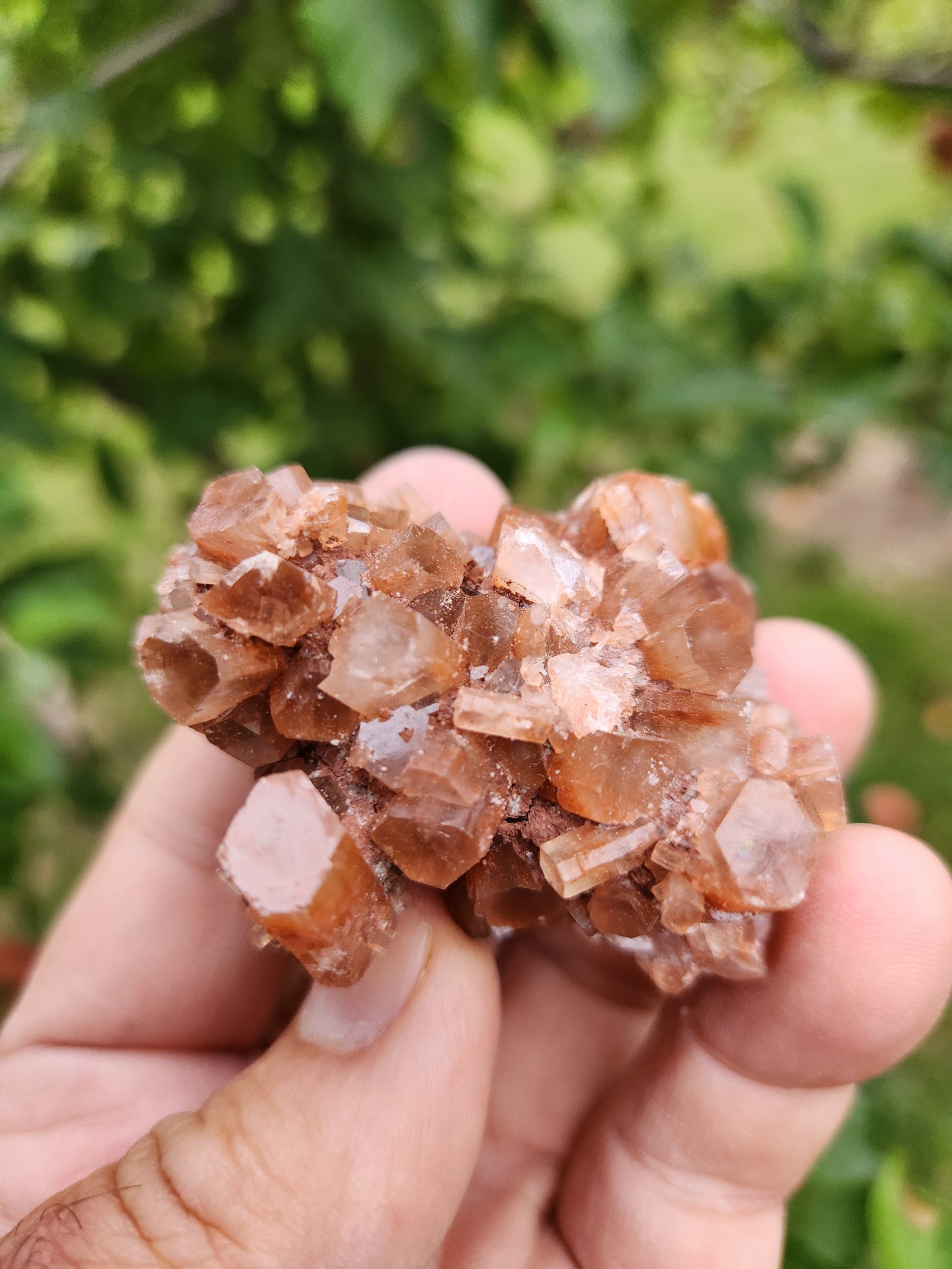 Brown Aragonite Crystal Cluster - Highly Valued for its Strong Connection to the Earth.