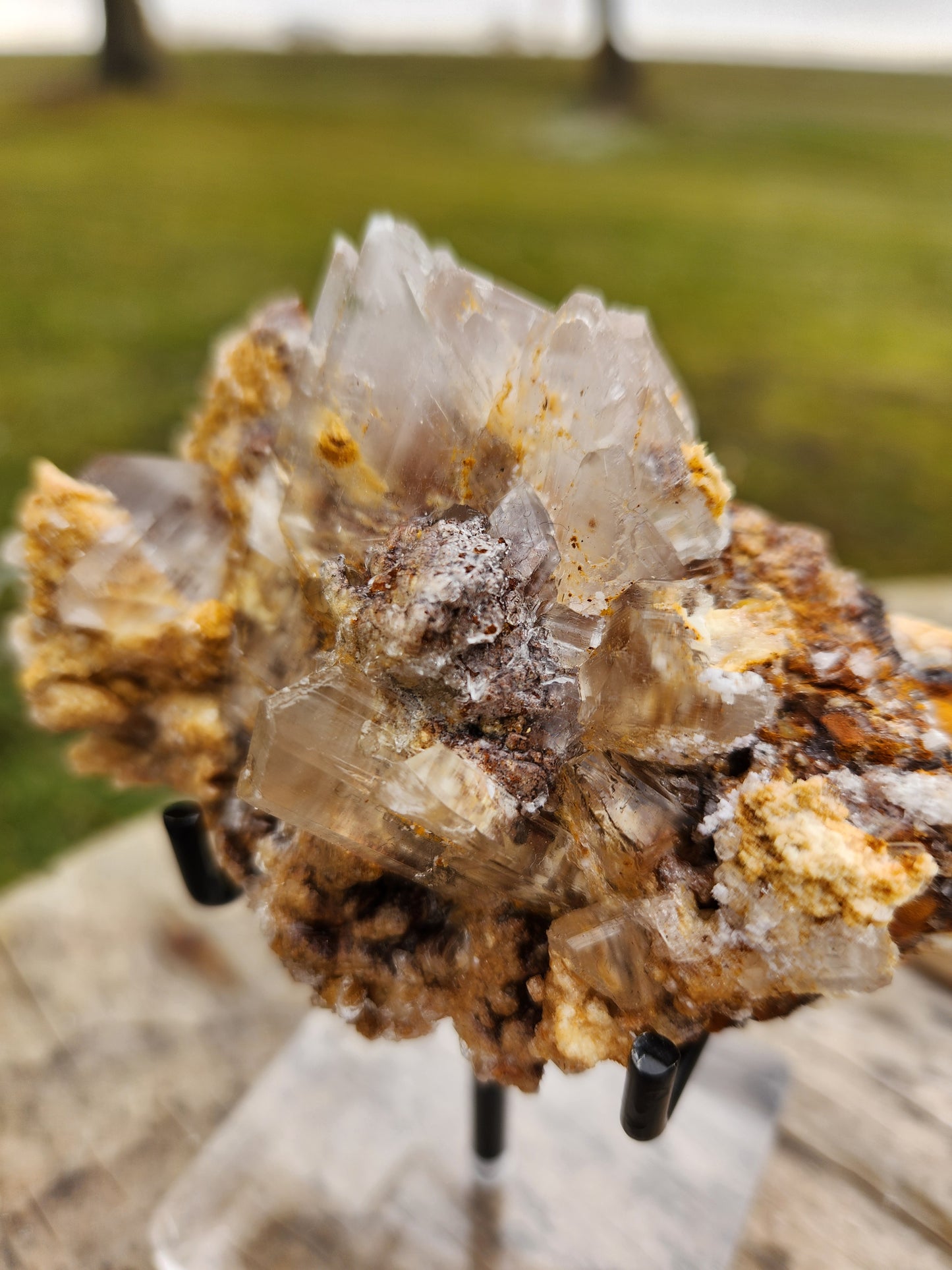 Blade Selenite Crystal Specimen — Natural Satin Spar Gypsum Cluster | Cleansing, Purification, High-Vibration Stone