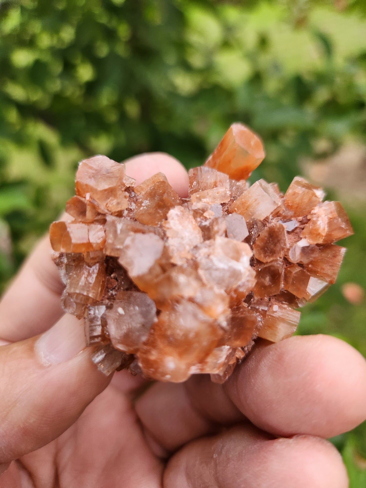 Brown Aragonite Crystal Cluster - Highly Valued for its Strong Connection to the Earth.