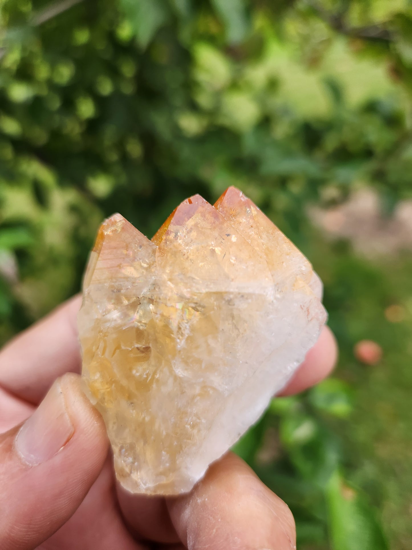 Citrine Crystal (heat treated) - Intense Fierry and Buzzy Manifestation and Abundance.