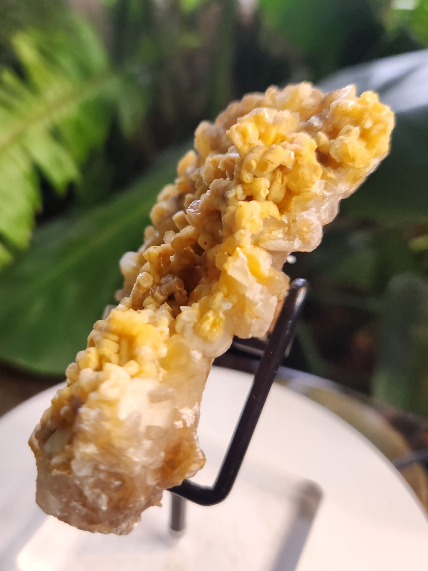 Gorgeous Natural Orange Calcite Crystal Cluster – Raw Orange Calcite on Matrix