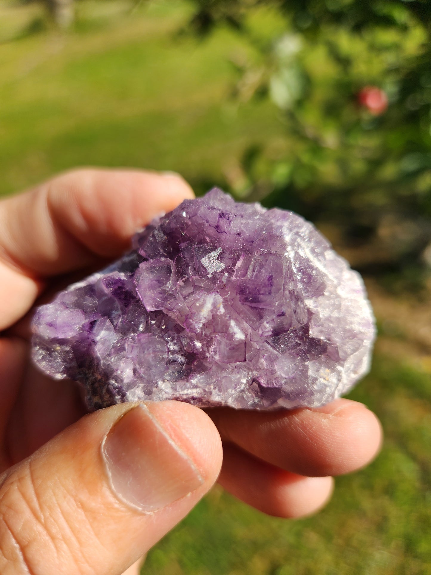 Purple Flourite Crystal Cluster with Cubes - Intuition Awareness