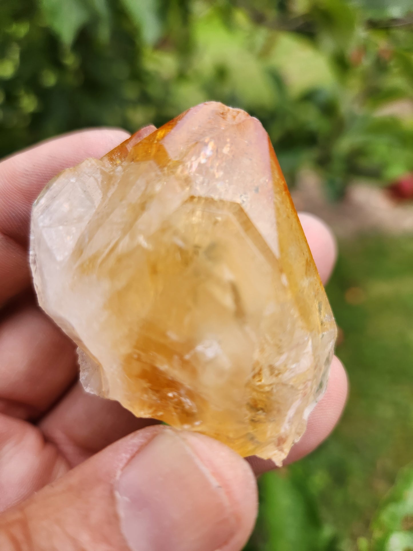 Citrine Crystal (heat treated) - Intense Fierry and Buzzy Manifestation and Abundance.