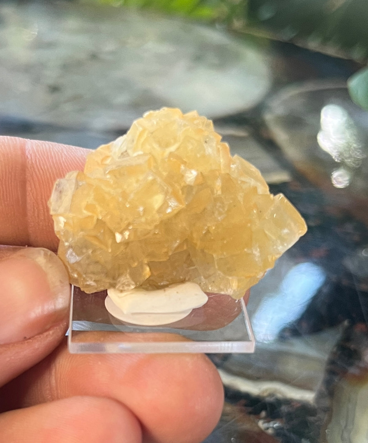 Raw Yellow Fluorite Crystal| Golden Fluorite Specimen