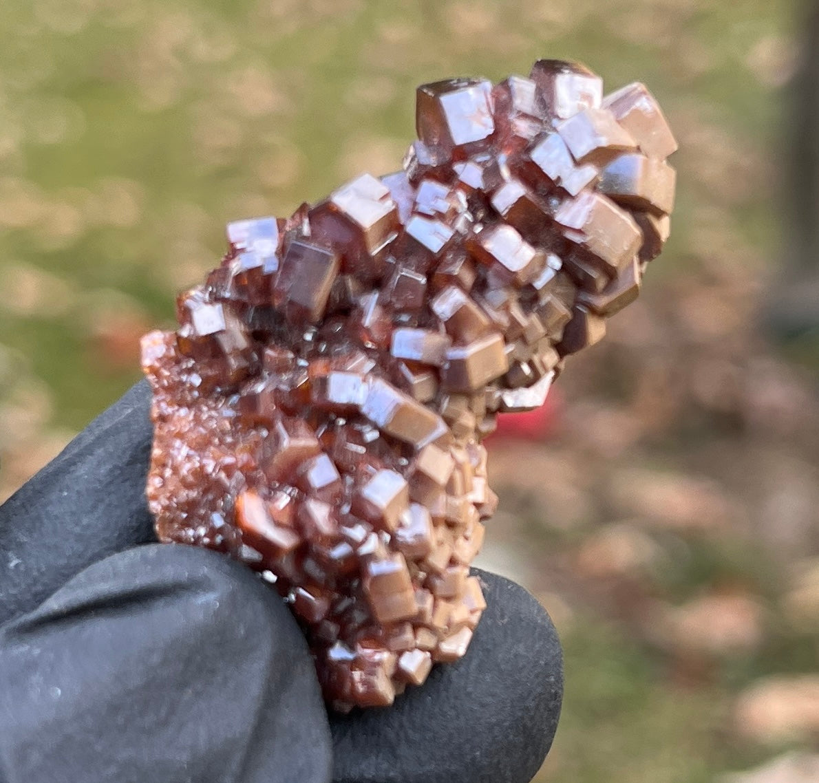 Exceptional Vanadinite Crystal Cluster | Deep Red-Orange Hexagonal Vanadinite on Matrix | Morocco Mineral Specimen | Collector Grade Healing Crystal
