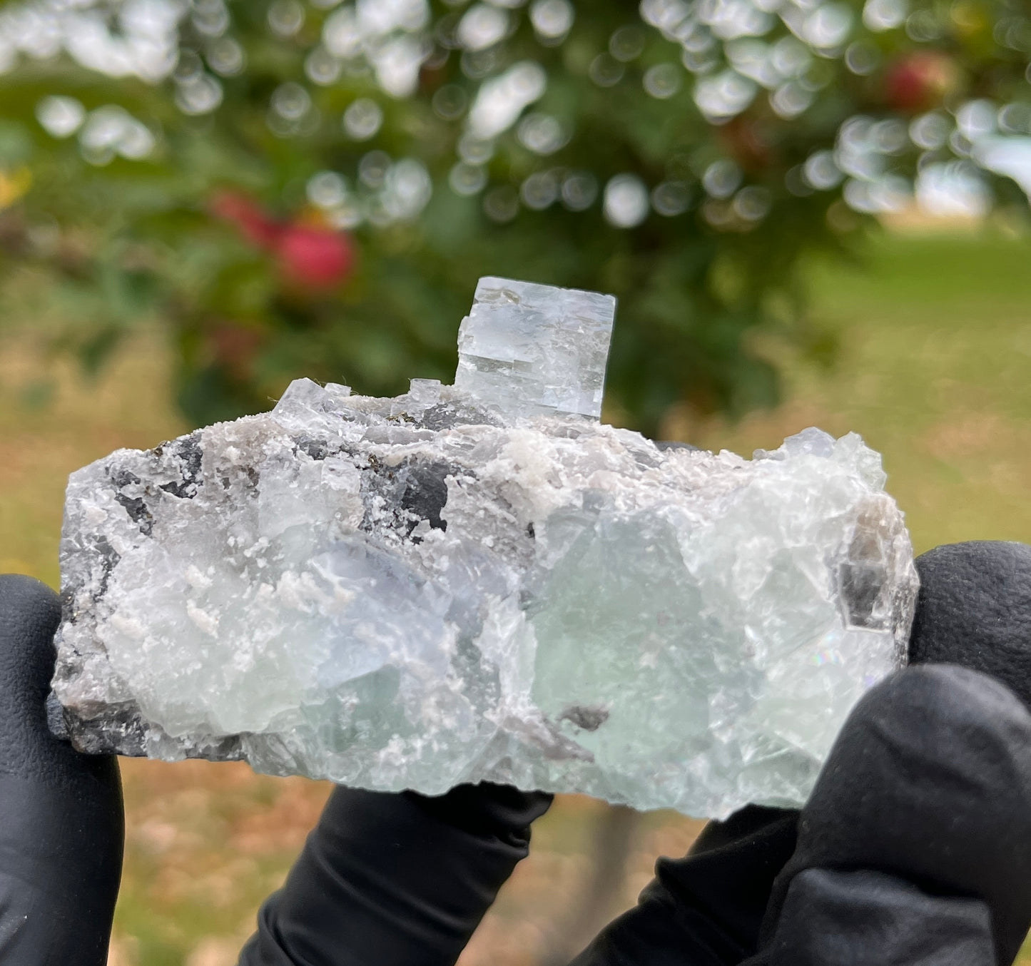 Blue Fluorite Cubes on Matrix | Natural Crystal Cluster from China | Focus, Clarity & Protection Stone