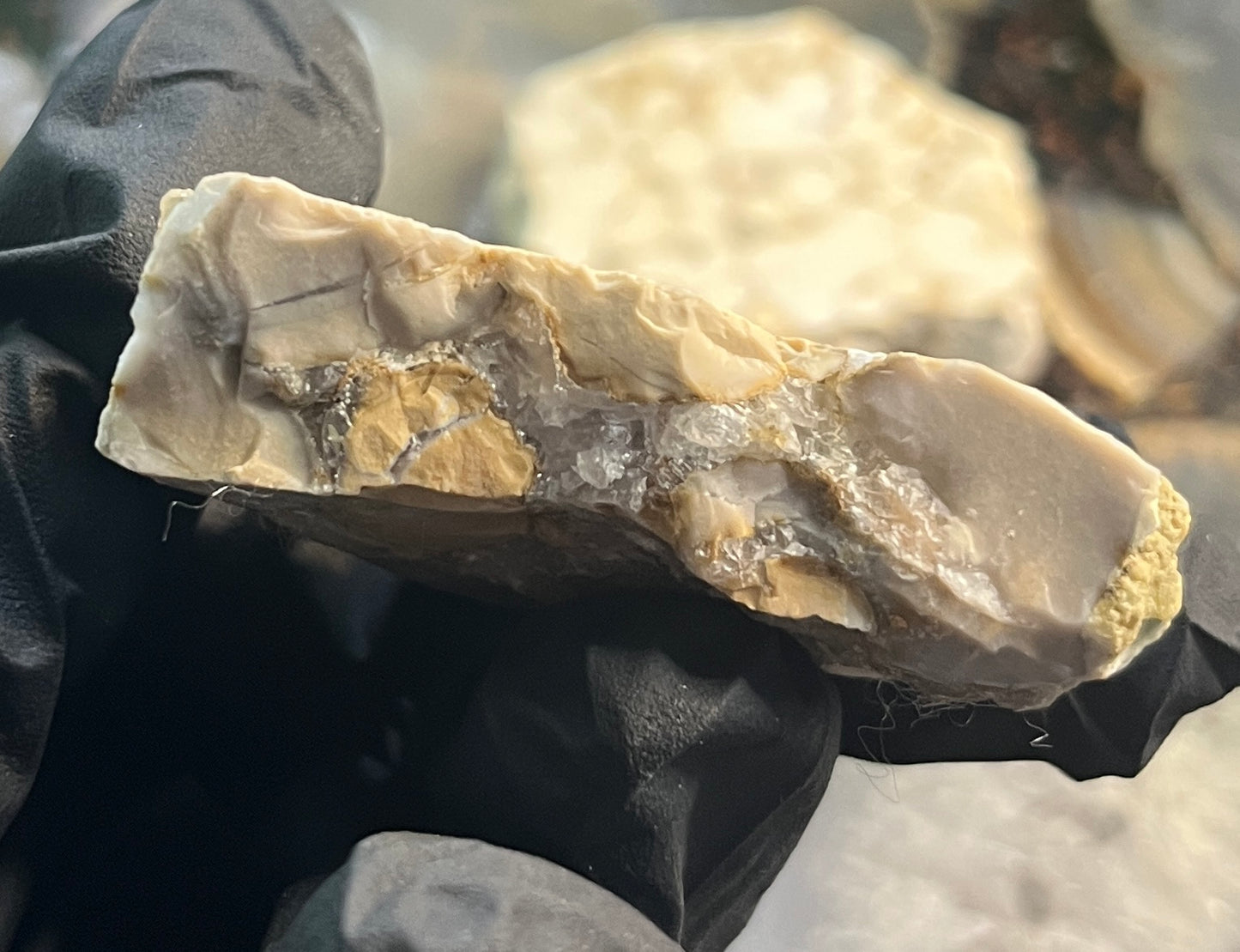 Rare Cobra Jasper Slab | Polishing Rough | Orbicular Stone | Lapidary Raw