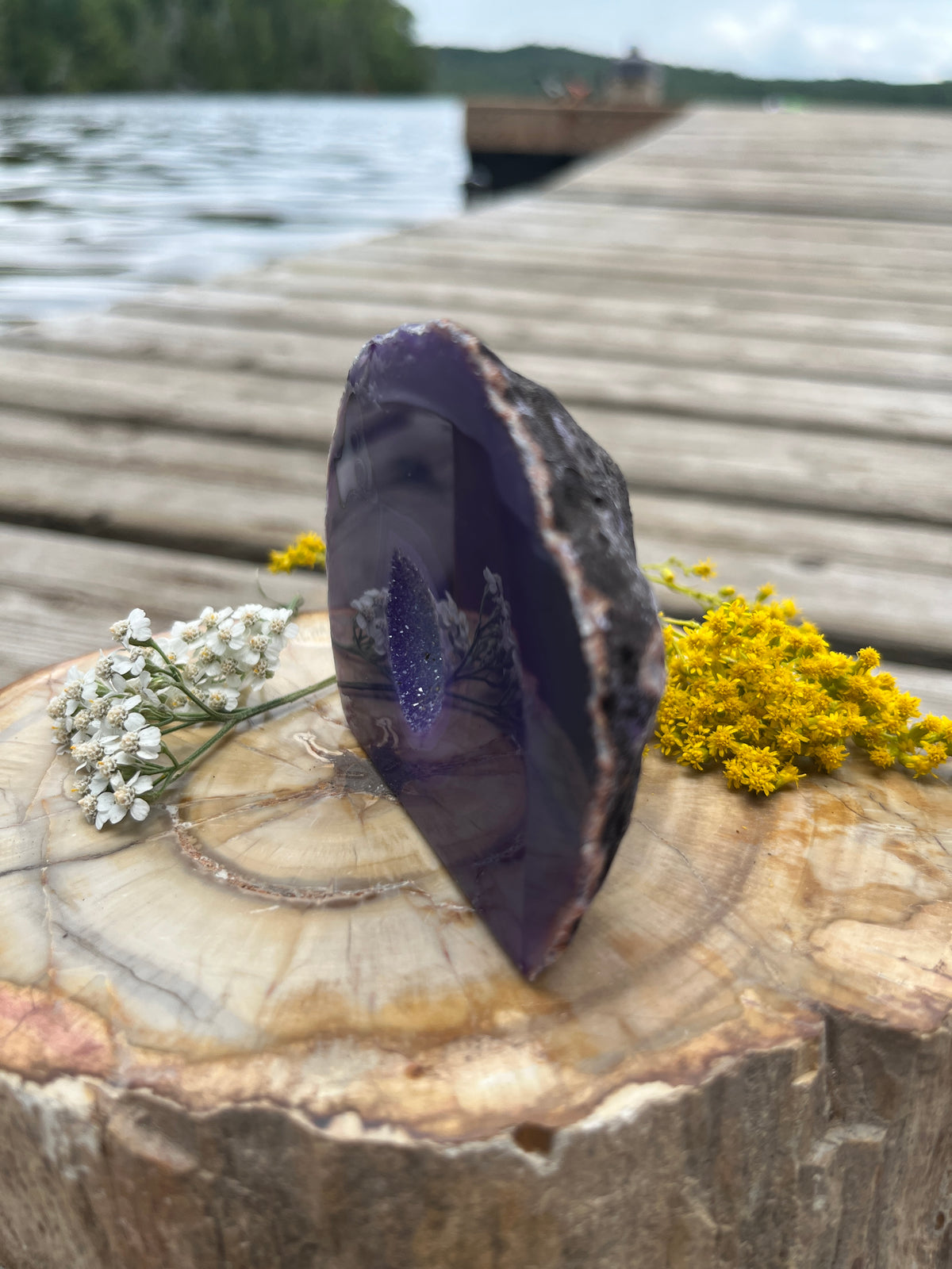 Vibrant Purple Agate Geode Slice with Quartz Druzy Pocket