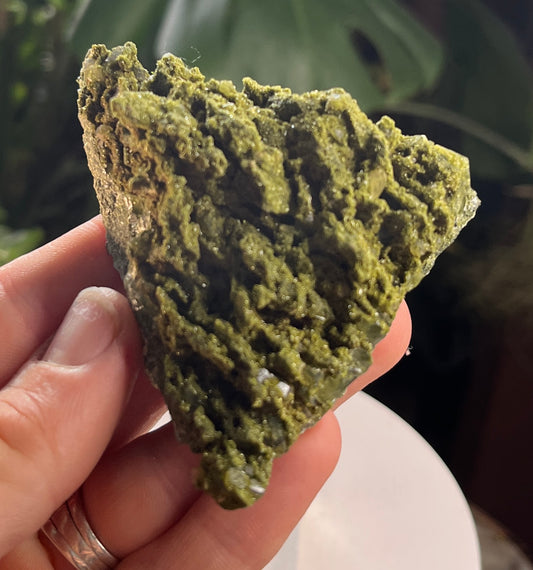 Forest Epidote – Sparkling Green Growth Crystal | Collector Mineral | Grounding & Abundance Stone