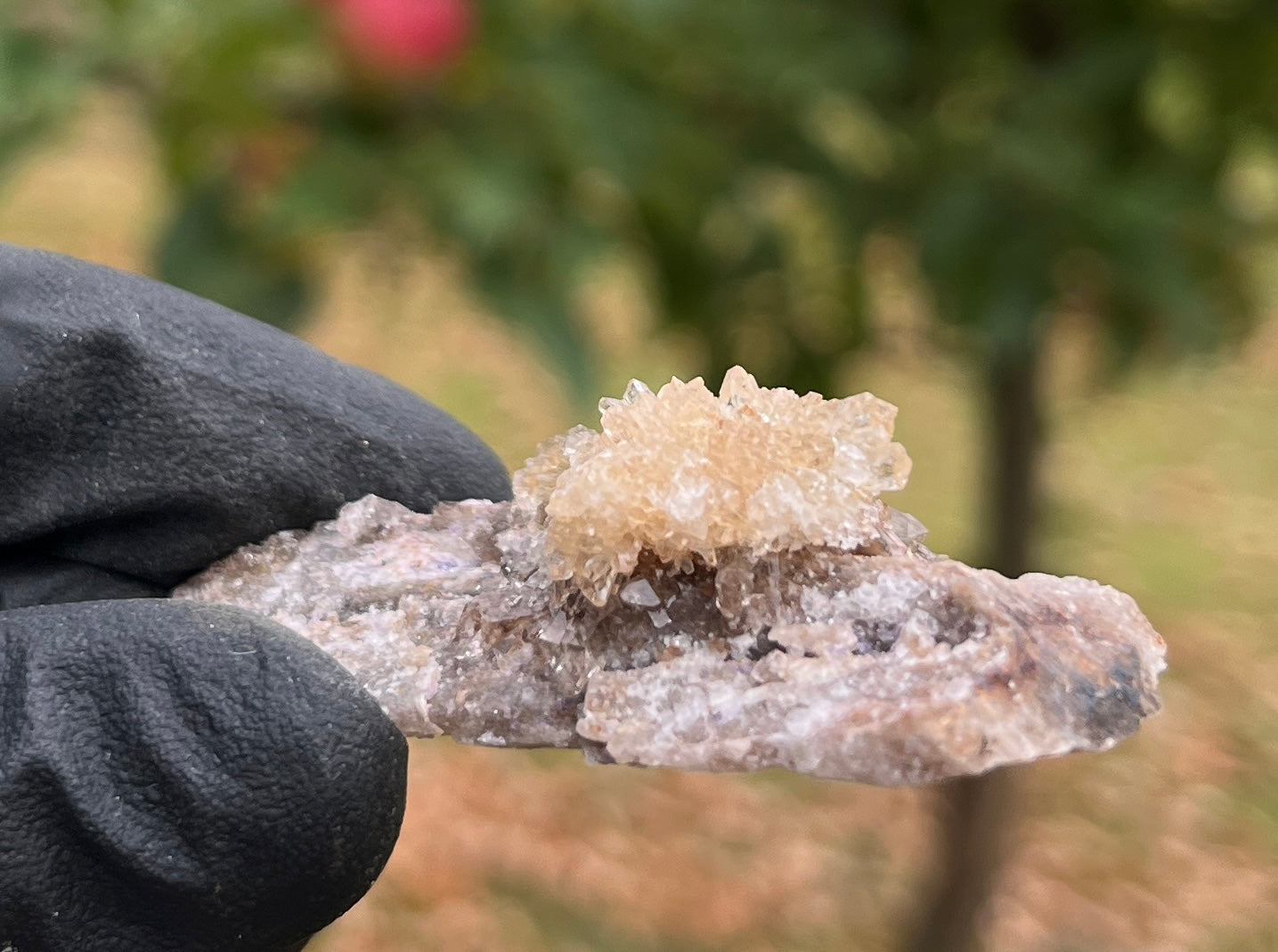 Raw Selenite Starburst Specimen on Matrix | "Ultra Violet" Selenite for Cleansing & High Vibration